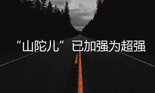 “山陀儿”已加强为超强台风，粤东海域渔船请于今日18时前回港避风