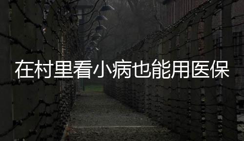 在村里看小病也能用医保结算 广东13077家村卫生站纳入医保定点管理