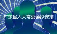 广东省人大常委会拟安排审议9个涉粤港澳大湾区立法项目